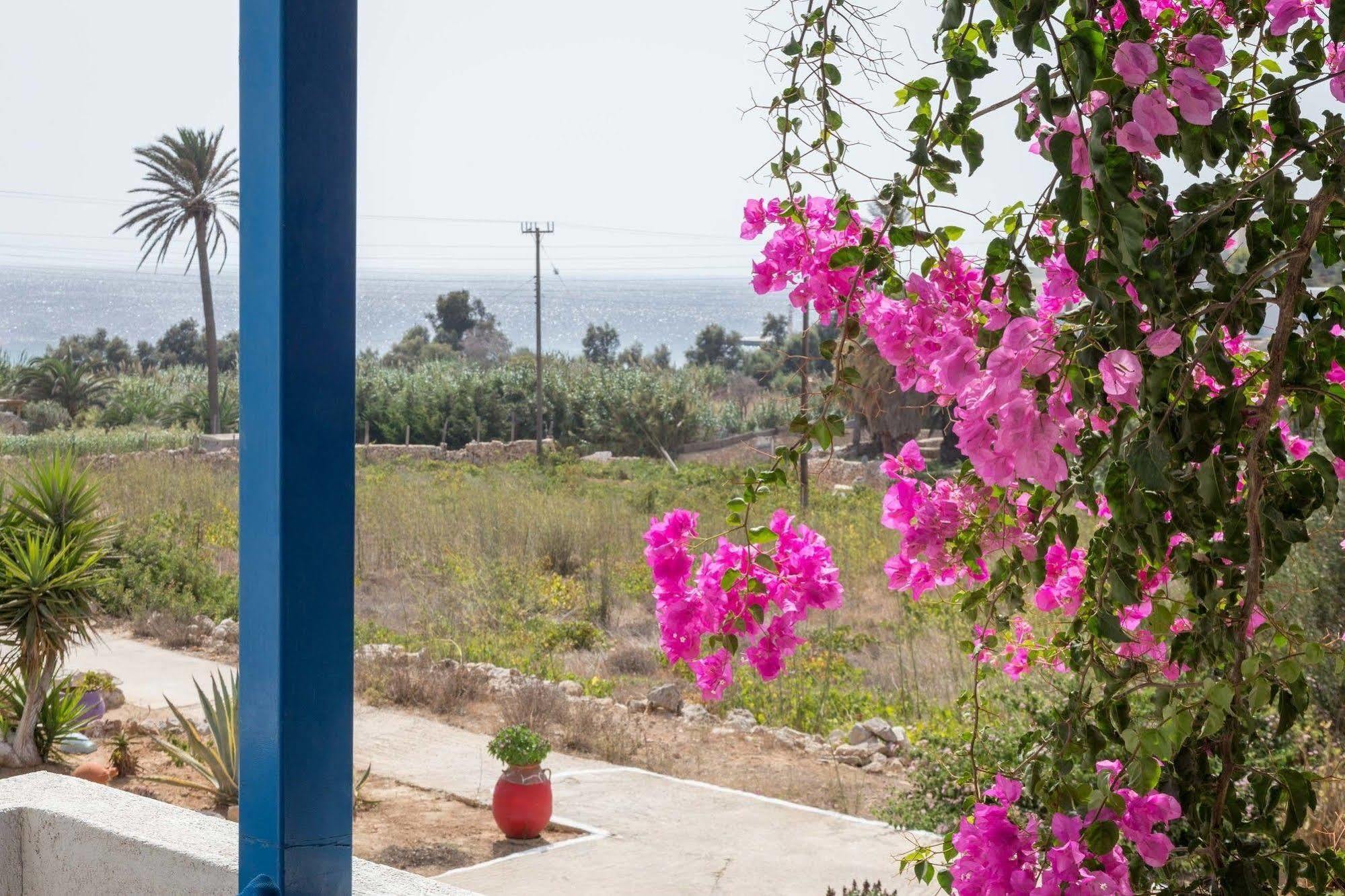 Firoa Studios โดนูสซา ภายนอก รูปภาพ